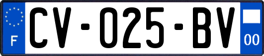 CV-025-BV