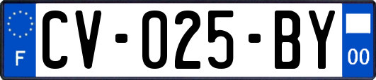 CV-025-BY