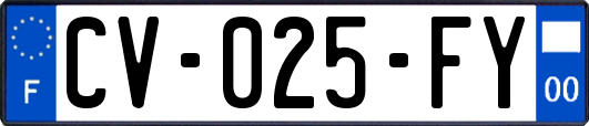 CV-025-FY