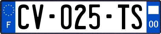 CV-025-TS