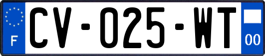 CV-025-WT