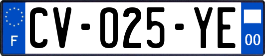 CV-025-YE