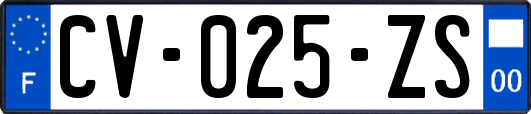 CV-025-ZS