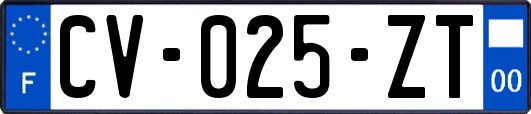 CV-025-ZT