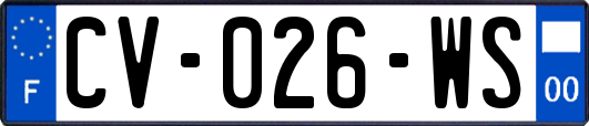 CV-026-WS