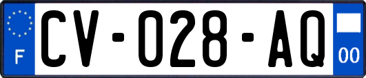 CV-028-AQ