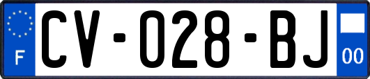 CV-028-BJ