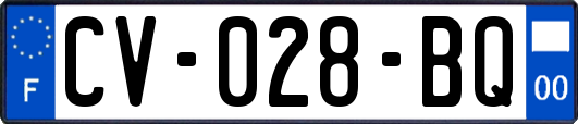 CV-028-BQ