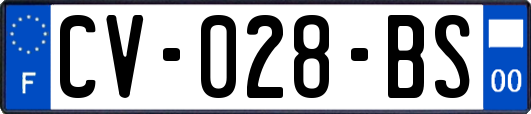 CV-028-BS