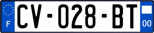 CV-028-BT