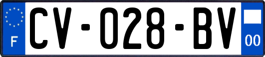 CV-028-BV