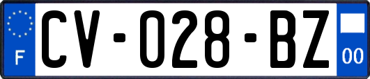 CV-028-BZ