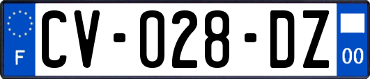 CV-028-DZ