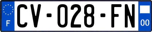 CV-028-FN