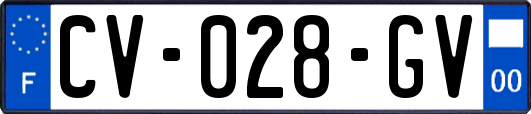 CV-028-GV