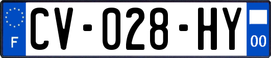 CV-028-HY