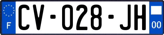 CV-028-JH