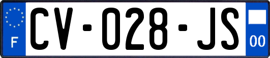 CV-028-JS