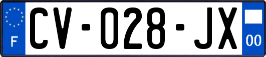 CV-028-JX