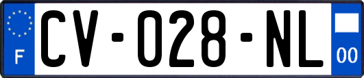 CV-028-NL