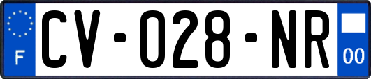 CV-028-NR