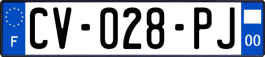 CV-028-PJ