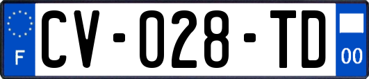 CV-028-TD