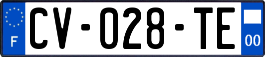 CV-028-TE