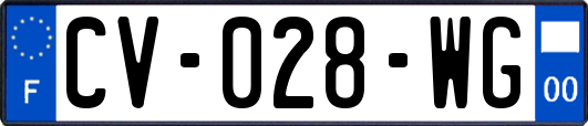 CV-028-WG