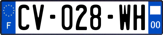 CV-028-WH