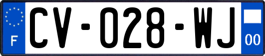 CV-028-WJ