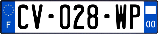 CV-028-WP