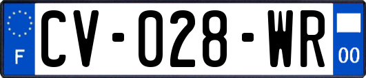 CV-028-WR