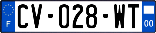 CV-028-WT