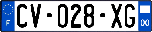 CV-028-XG