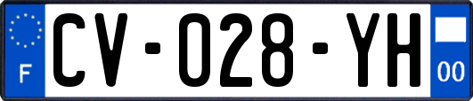 CV-028-YH