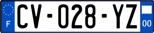 CV-028-YZ