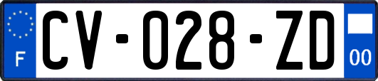 CV-028-ZD