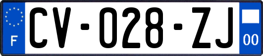 CV-028-ZJ