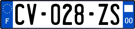 CV-028-ZS