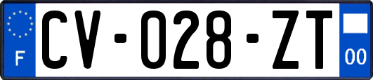 CV-028-ZT