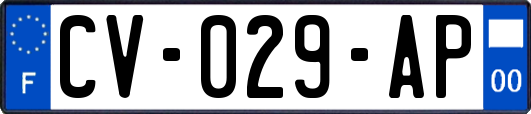 CV-029-AP