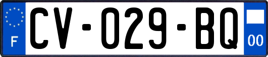 CV-029-BQ