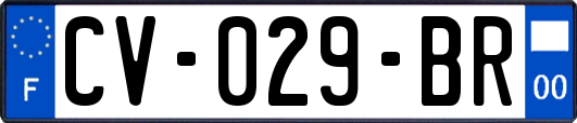 CV-029-BR