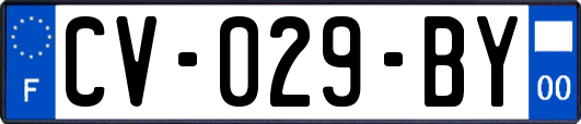 CV-029-BY