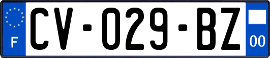 CV-029-BZ