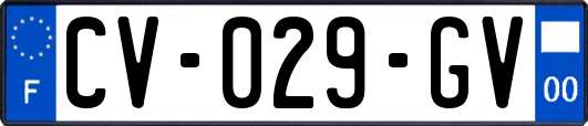 CV-029-GV