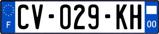 CV-029-KH