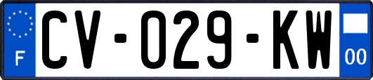 CV-029-KW