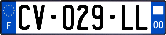 CV-029-LL